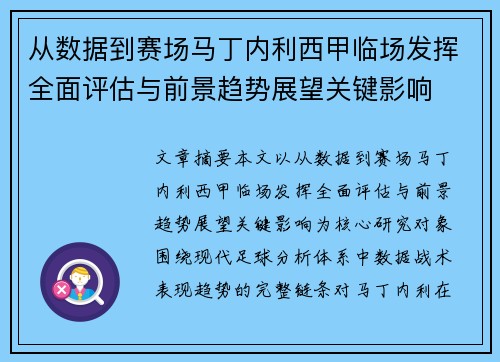 从数据到赛场马丁内利西甲临场发挥全面评估与前景趋势展望关键影响